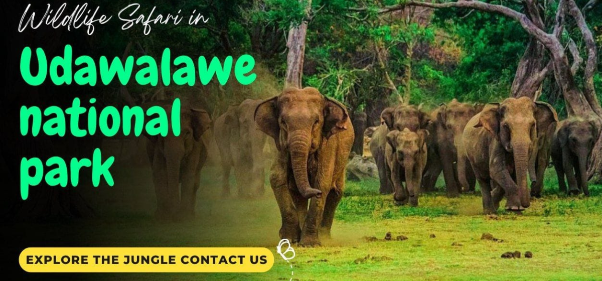 udawalawa